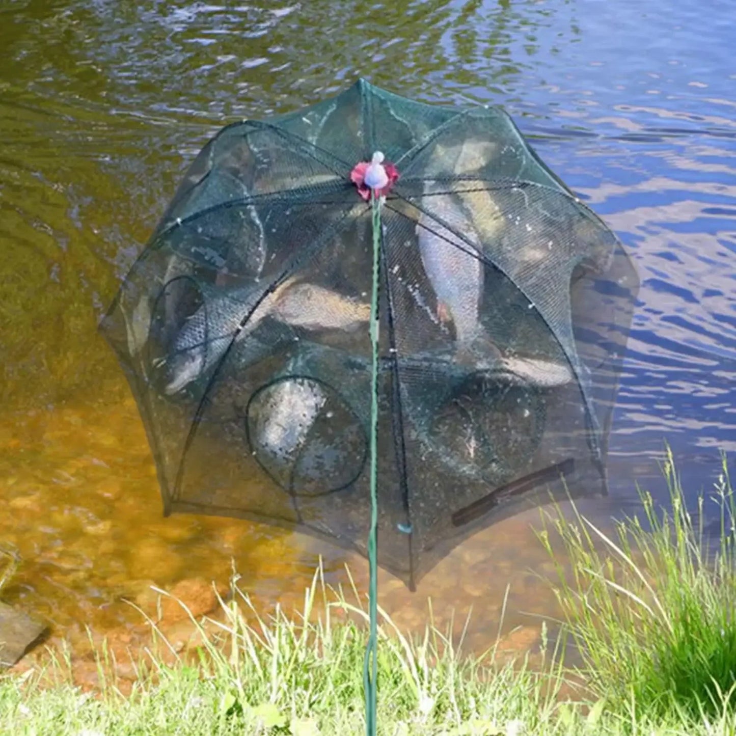 Fishing Net Mesh Folded Hexagon Octagon 6/8 Holes Fish shrimp Automatic Trap Crayfish catcher Fish Network Baits cast Mesh Trap
