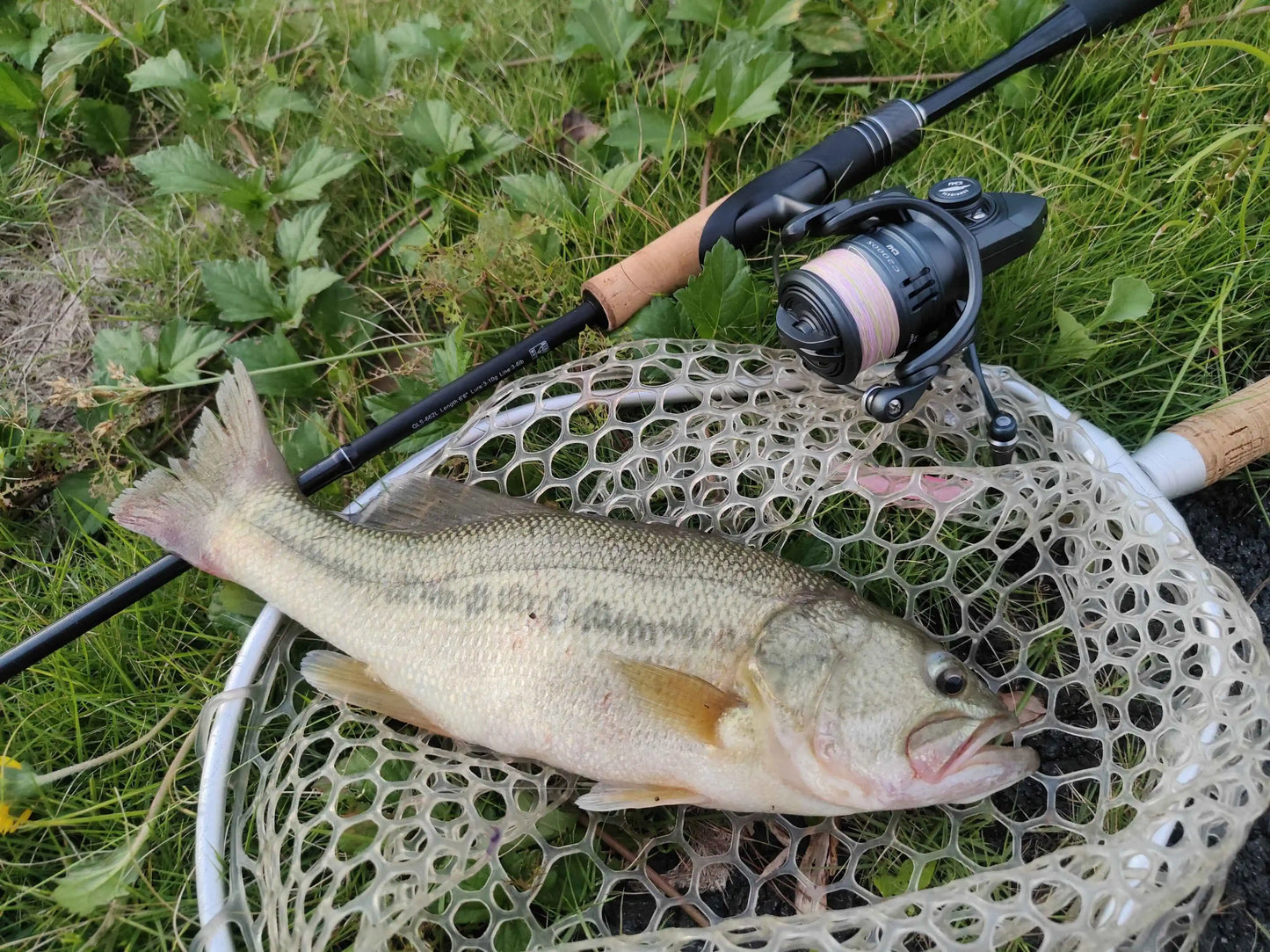 TSURINOYA 155g UltraLight Spinning Fishing Squid Trout Reel FRERE C2000S 2500S 3000M Carbon Body Shallow Spool Casting Versatile